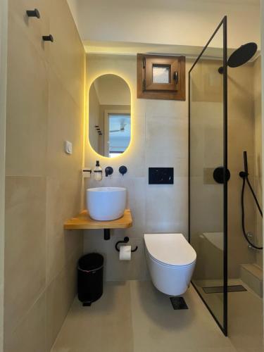 a bathroom with a sink and a toilet and a shower at Pansion Giannis Perris in Kokkari