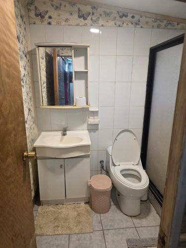 a small bathroom with a toilet and a sink at Cabaña Tongariki in Hanga Roa