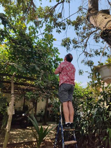 a man standing on a rope ladder reaching into a tree at Jakcqueline in Pucallpa