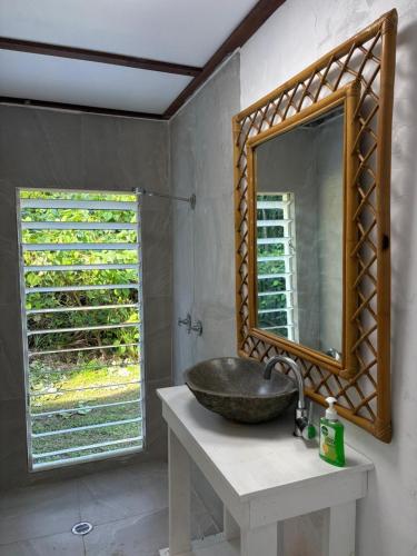 a bathroom with a sink and a mirror at Coconut Beach House & Cottages in Cape Tribulation