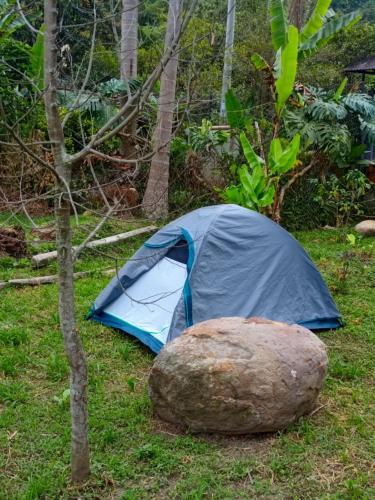 a blue tent and a rock next to a tree at Ecocamping oasis in San Francisco