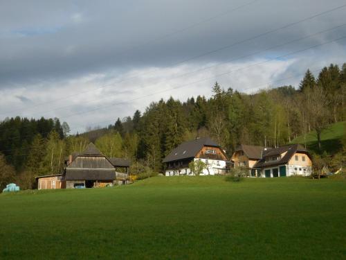 a group of houses in a green field with trees at Steinerhof in Sankt Georgen ob Murau