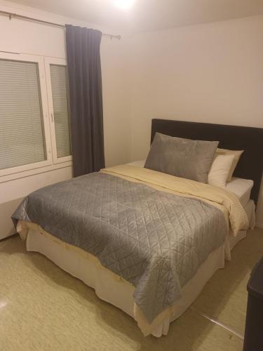 a large bed in a bedroom with a window at Peaceful Comfort in Suni
