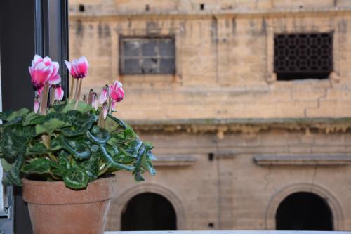 a potted plant with pink flowers in front of a building at My Way - Suite - Rooms - Palazzo San Matteo in Palermo