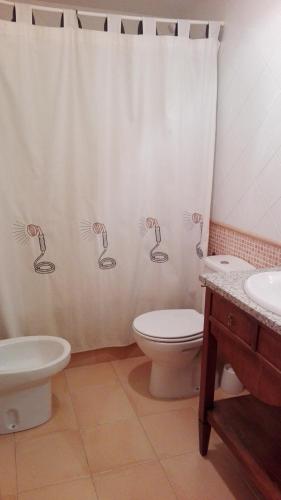 a bathroom with a toilet and a shower curtain at Apartamentos Ball Benas Edificio Prados de Velarta in Cerler