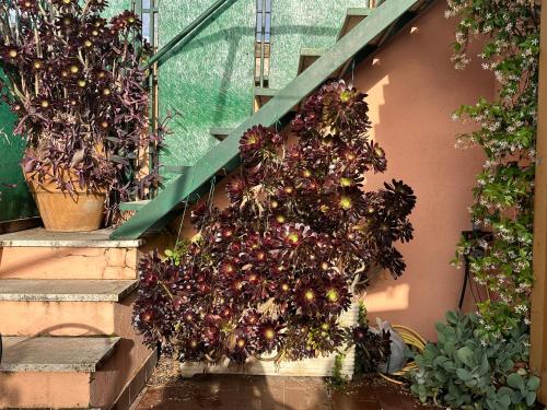 Spanish Steps Rome View