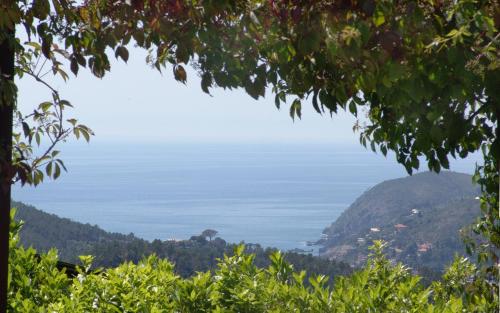 a view of the ocean from a tree at La Sosta di Ottone III in Levanto