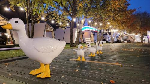 a row of duck statues on a sidewalk at night at Cheongdo Provence Glamping in Cheongdo