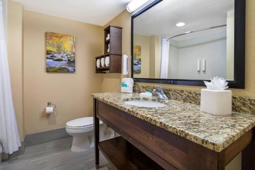 a bathroom with a sink and a toilet and a mirror at Clarion Pointe Cherokee in Cherokee