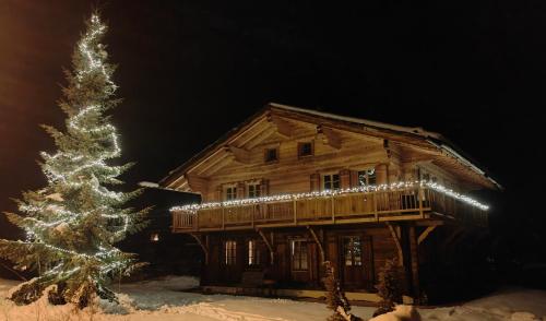 ein Weihnachtsbaum vor einer Blockhütte in der Unterkunft Chez Pierre in Praz-de-Fort