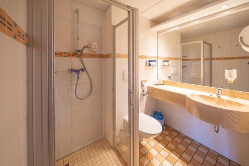 a bathroom with a shower and a toilet and a sink at Komfort-Hotel Katerberg in Lüchow