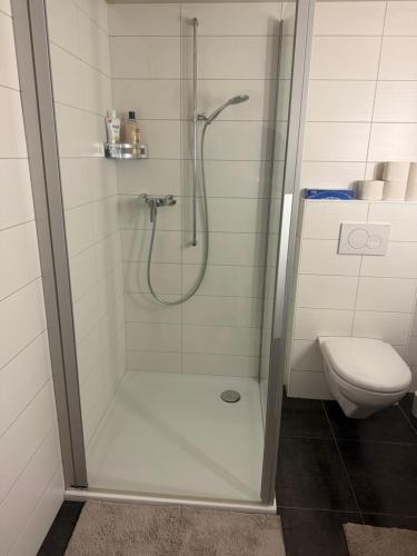 a bathroom with a shower and a toilet at Pâquier 3 in Saint-Sulpice