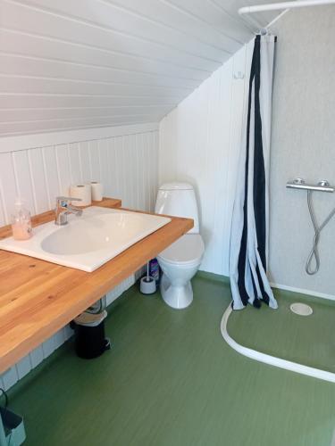 a bathroom with a sink and a toilet at Heidis Loft in Vidstrup