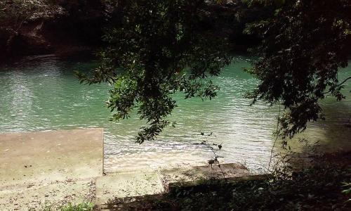 a view of a body of water with a tree at Don Santiago Guesthouse Downtown in San Ignacio