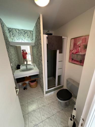 a bathroom with a sink and a toilet and a mirror at Charmant Studio in Vitré