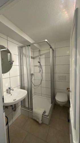 a bathroom with a shower and a toilet and a sink at Ferienzimmer BlatnerS Bissersheim in Bissersheim