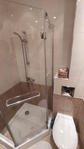 a bathroom with a toilet and a glass shower at Mesta Room in Gotse Delchev