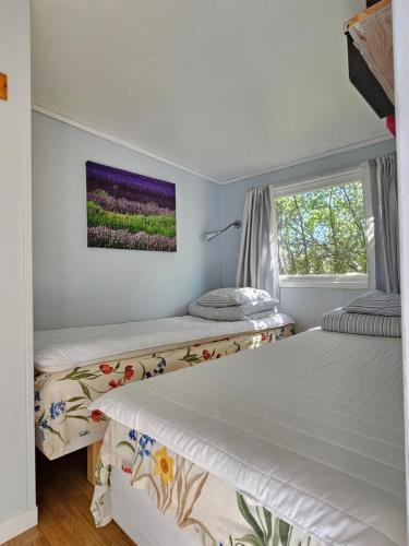two twin beds in a room with a window at Stuga 11 Dalskärs camping in Bergkvara