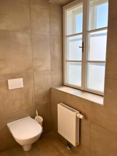 a bathroom with a toilet and a window at Schloss Hotel Zeillern in Zeillern