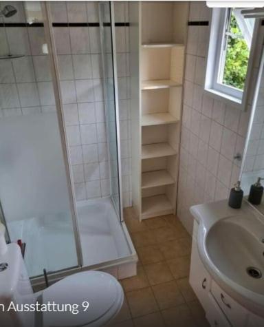 a bathroom with a shower and a toilet and a sink at Tinyhouse mit Feuerstelle Capfun de Bongerd in Tuitjenhorn