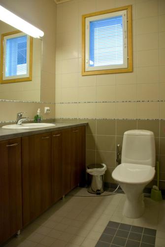 a bathroom with a toilet and a sink and a mirror at VILLA PUUSTILA (6 mh) in Tahkovuori