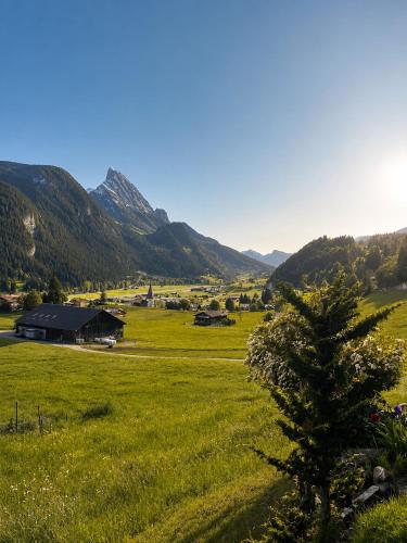 Cozy alpine retreat with mountain view Gstaad