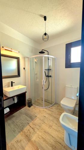 a bathroom with a shower and a toilet and a sink at Conacu Lacului Brebu in Brebu Mînăstirei