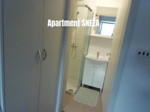 a bathroom with a sink and a toilet in it at Apartments Salak in Pula