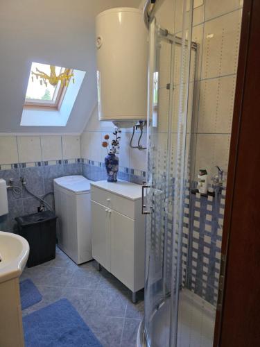 a bathroom with a shower and a sink at Apartman Gorski raj in Fužine