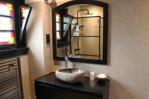 a bathroom with a sink and a mirror at B&B de Pastorie Terneuzen in Terneuzen