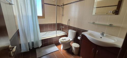 a bathroom with a toilet and a sink and a shower at Nautical Nest in Livadhia