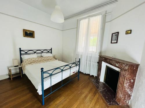a bedroom with a bed and a fireplace at Le boudoir de Marie in Montluçon