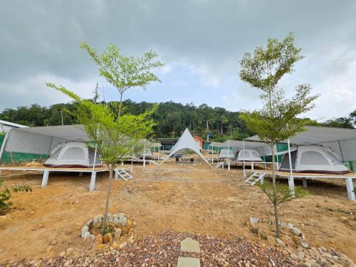 a group of tents in a field with trees at Green House 168 in Kaôh Rŭng (3)