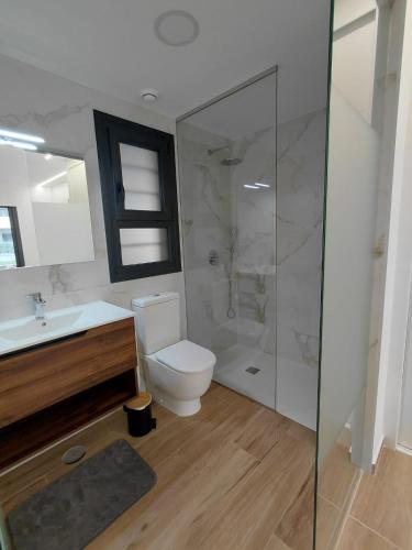 a bathroom with a toilet and a sink and a shower at Private Garden Apartment - Villamartin, Orihuela Costa in Villamartin