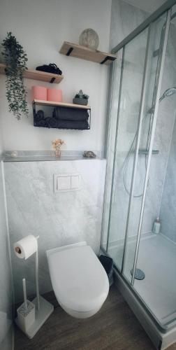 a bathroom with a toilet and a glass shower at FeWoLaqua in Leipzig