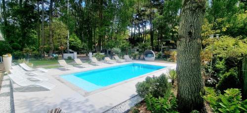 a swimming pool with white chairs and a tree at Majestique in Pobierowo