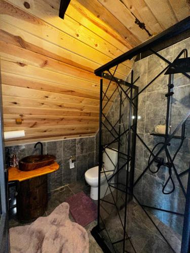 a bathroom with a toilet and a wooden ceiling at Himora Suit Bungalov in Ardeşen