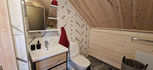a small bathroom with a sink and a toilet at Taga-Kalda in Nüpli