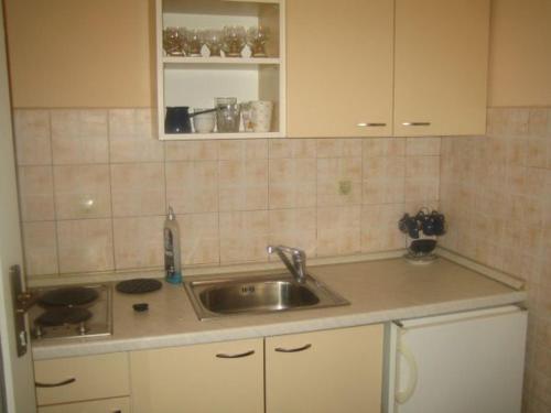A kitchen or kitchenette at Apartments Petar Maksan