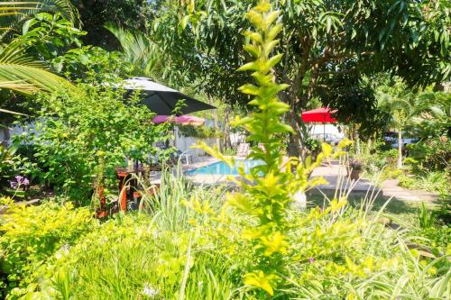 a garden with a pool and an umbrella at Ilha Azul in Ponta do Ouro