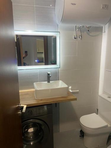 a bathroom with a sink and a washing machine at One-Bedroom Apartment with Balcony & Fast WiFi in Bansko