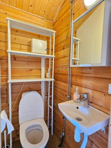 a bathroom with a toilet and a sink at Stuga 21 i Dalskärs Camping in Bergkvara