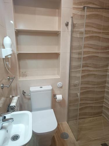a bathroom with a shower and a toilet and a sink at Pensión Bella Vista in Cóbreces