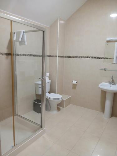 a bathroom with a toilet and a sink at Henehan's Town House in Westport