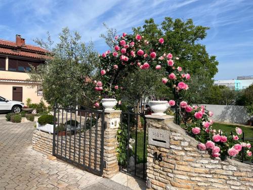 NEW!!! Apartman Adrijana