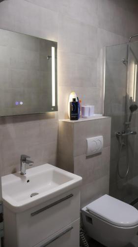 a bathroom with a sink and a toilet and a mirror at Villas Magnolia in Blagaj