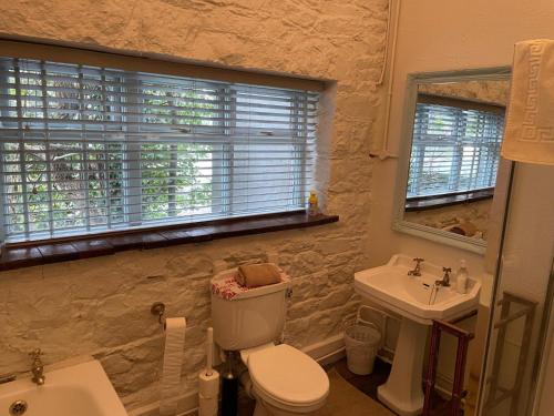 a bathroom with a white toilet and a sink at Wood Quay - A truly unique, seafront experience! in Carlingford