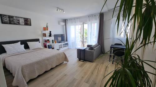 Foto Spacious Studio