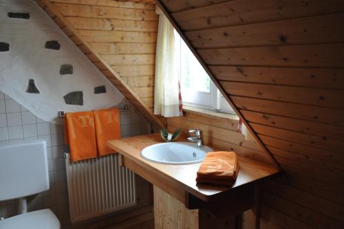 a bathroom with a sink and a mirror at AlmDorf Tonnerhütte in Mühlen