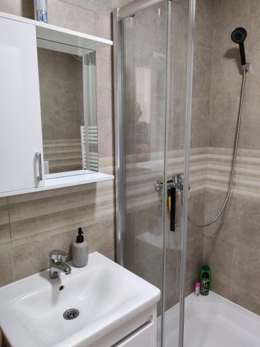 a bathroom with a shower and a sink at Apartman Max in Modriča